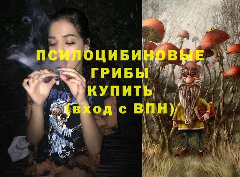 Галлюциногенные грибы MAGIC MUSHROOMS  где продают наркотики  Елец 